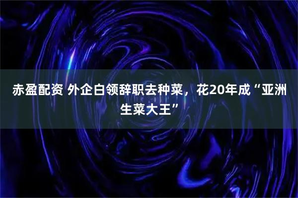 赤盈配资 外企白领辞职去种菜，花20年成“亚洲生菜大王”