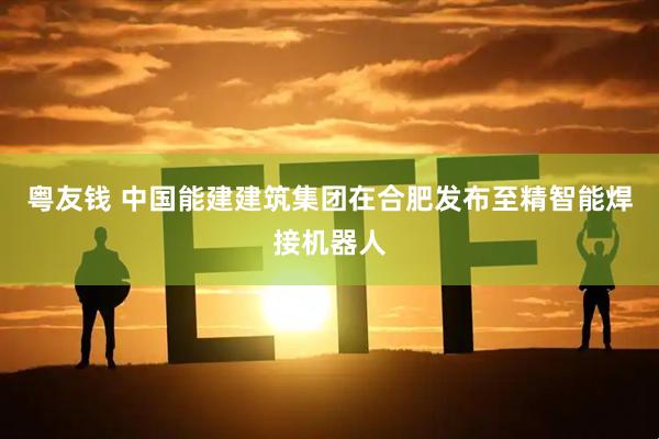 粤友钱 中国能建建筑集团在合肥发布至精智能焊接机器人