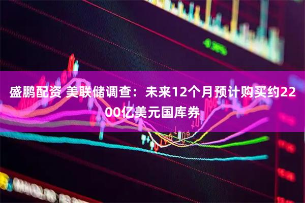盛鹏配资 美联储调查：未来12个月预计购买约2200亿美元国库券