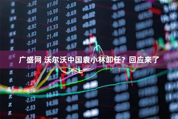 广盛网 沃尔沃中国袁小林卸任？回应来了